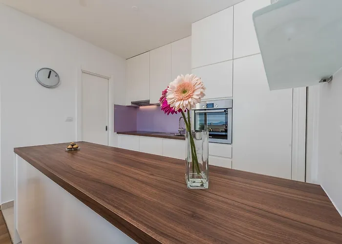 Penthouse With Roof Terrace With Jacuzzi * Zadar